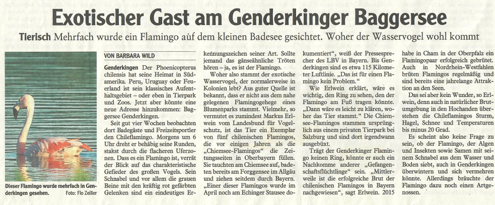 Donauwörther Zeitung 28.06.2021