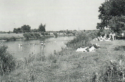 Badefreuden an der Donau 1949 oberhalb des Bayertoni-Anwesens.