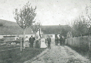 Der Bauerhanneshof um 1914 Ganz links sieht man eine Koppel mit zwei Fohlen. Abgebildet ist Bernhard Riegel (2.v.1.) mit seinen Kindern (von links) Luzia, Therese, Afra, Georg (gefallen 1916) und Mathias
