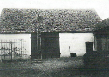 Der „zerhagelte" Stadel auf dem Anwesen Förg 1929. Die Geschwister Max und Anna Förg reparieren das Dach